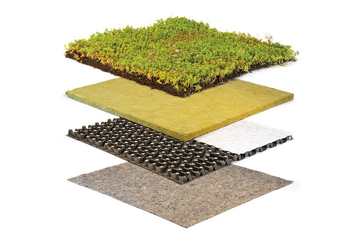 ZINGREEN lichtgewicht sedumdak opbouw in verschillende lagen
